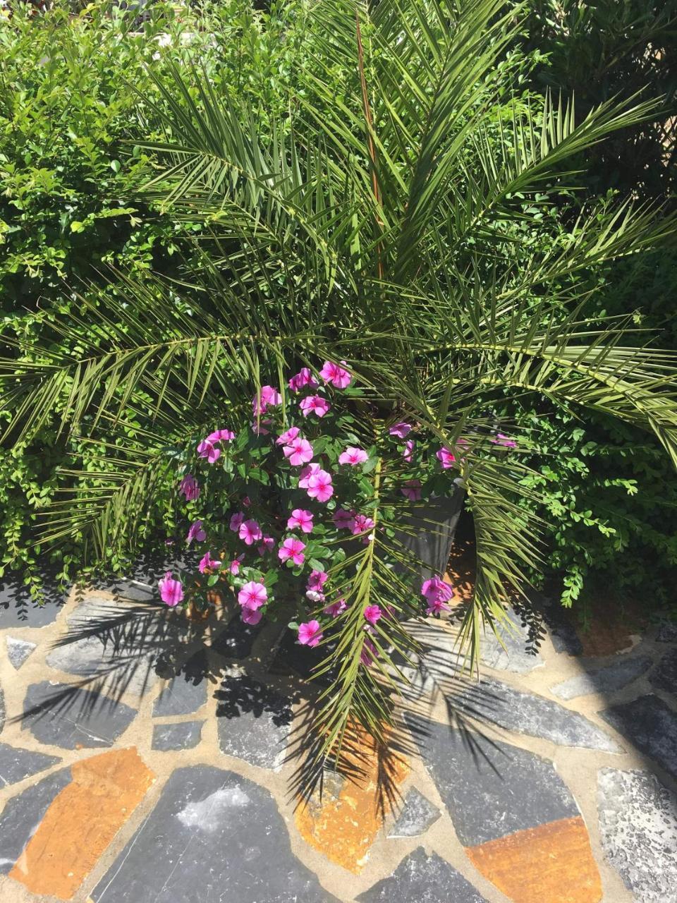 Villa Kela Ksamil Buitenkant foto
